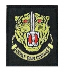 Malaysian Army Badges